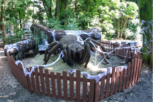 Com ‘insetos gigantes’, exposição ‘Primavera Encantada:…