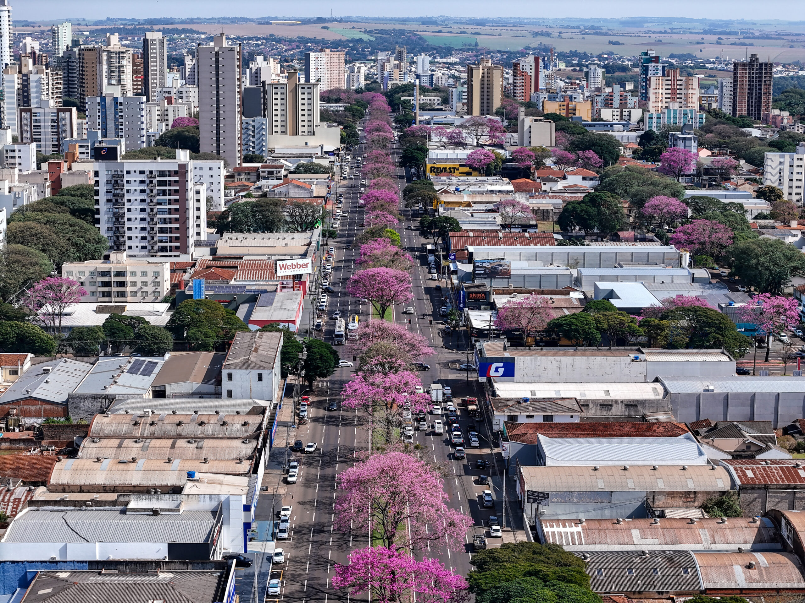 Maringá segue no Mapa do Turismo Brasileiro e fortalece potencial turístico da cidade e região
