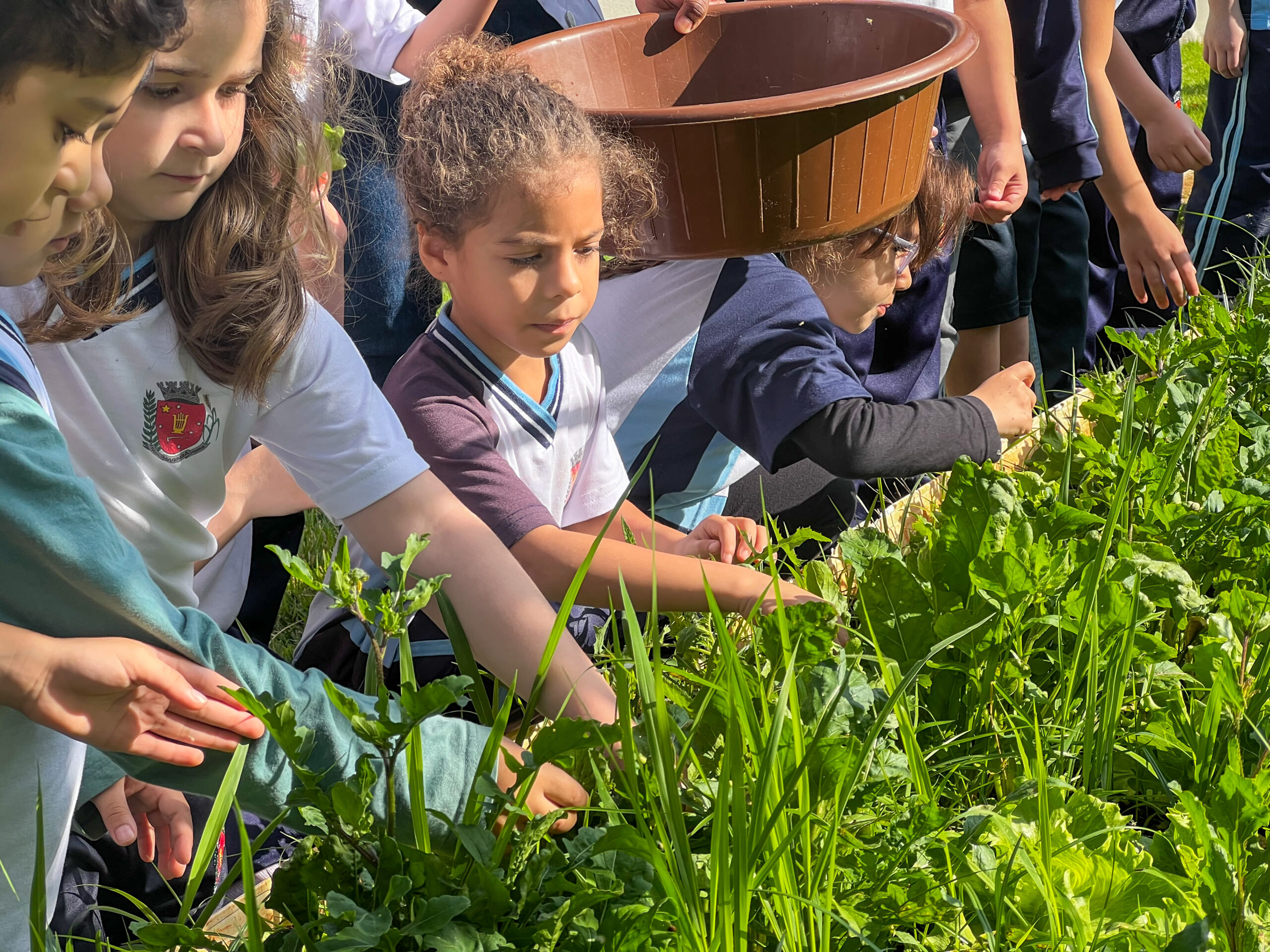 Prefeitura do Município de Maringá – Projeto ‘Hortas Educacionais’ incentiva práticas sustentáveis e alimentação saudável para crianças da rede municipal de ensino