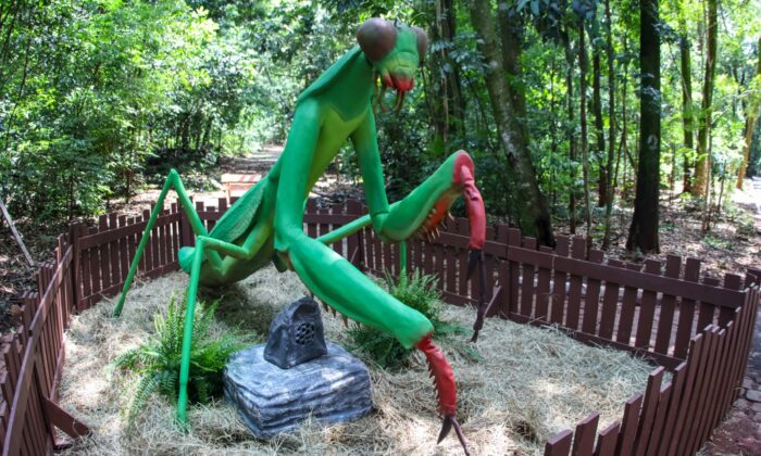Com ‘insetos gigantes’, exposição ‘Primavera Encantada: Natureza Gigante’ abre ao público nesta sexta-feira, 25