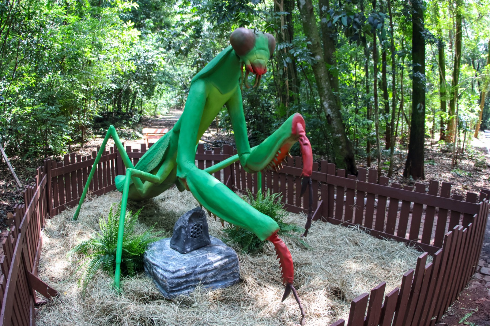 Com ‘insetos gigantes’, exposição ‘Primavera Encantada: Natureza Gigante’ abre ao público nesta sexta-feira, 25