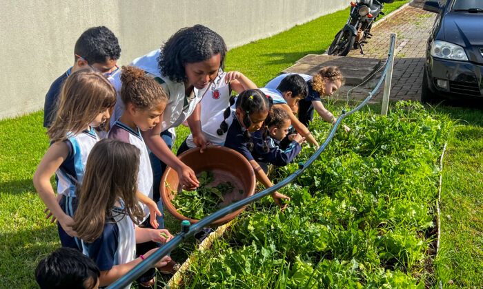 Projeto ‘Hortas Educacionais’ incentiva práticas sustentáveis e alimentação saudável para crianças da rede municipal de ensino