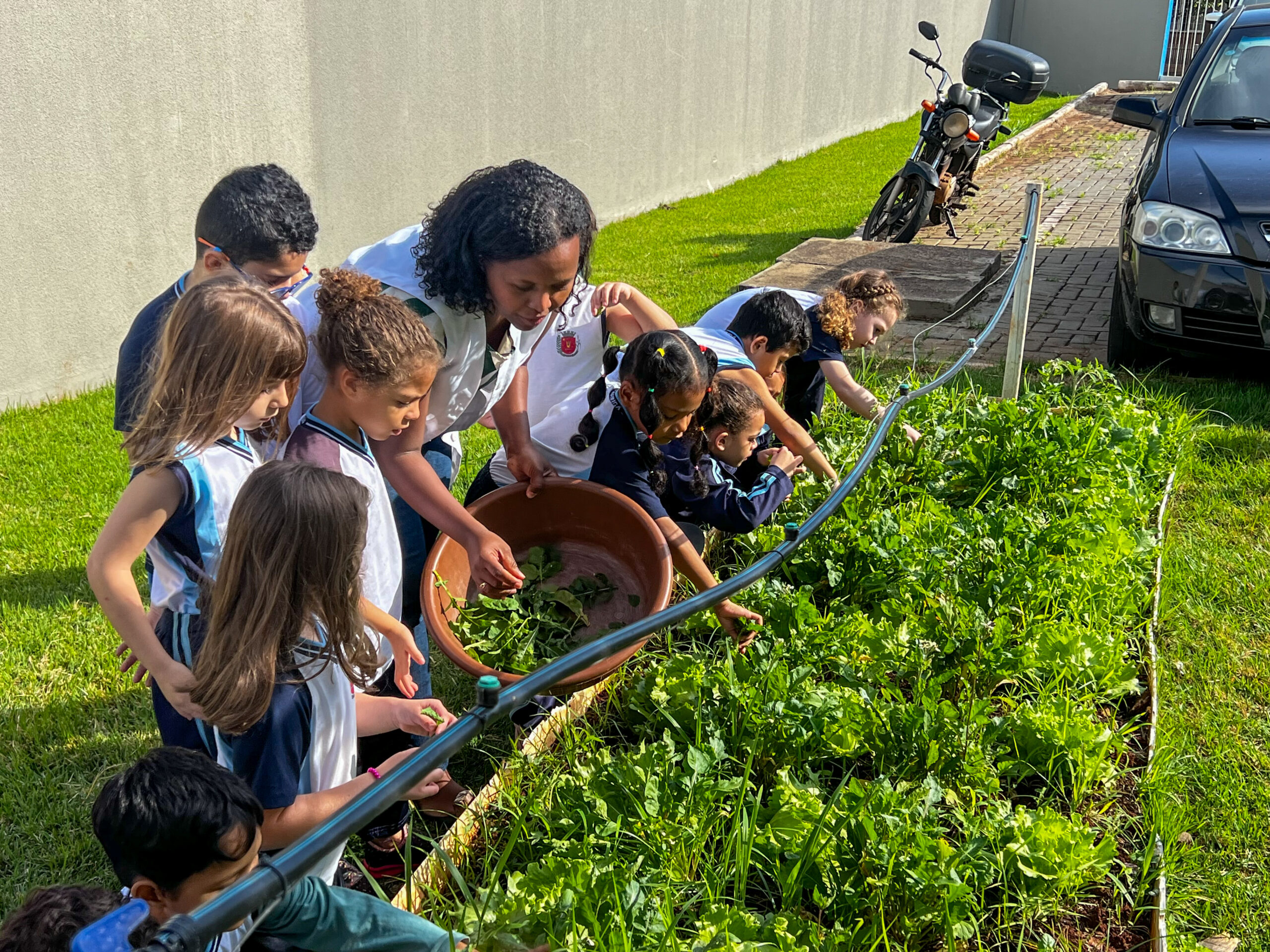 Projeto ‘Hortas Educacionais’ incentiva práticas sustentáveis e alimentação saudável para crianças da rede municipal de ensino