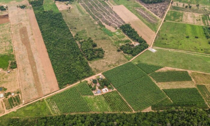 Crédito para compra de terras permanece fora do alcance dos produtores