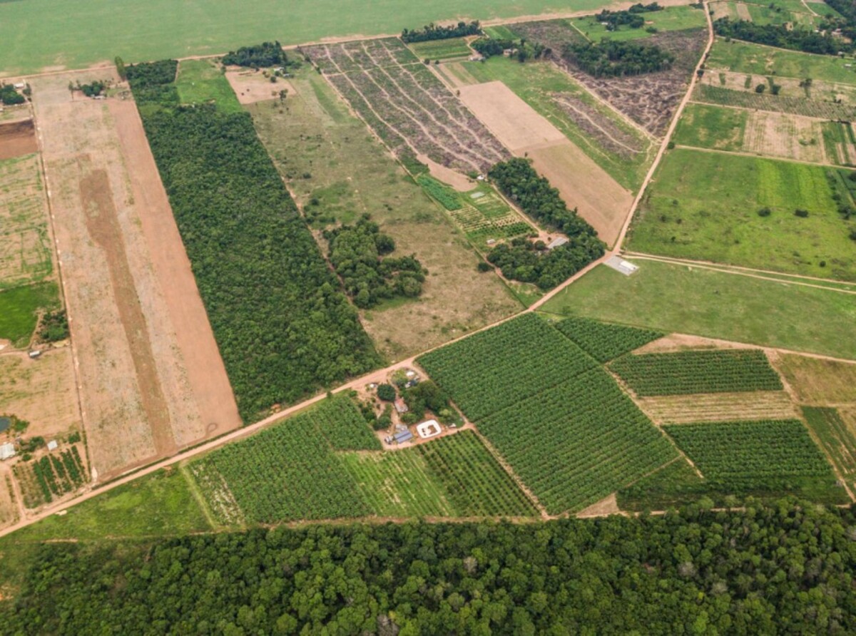 Crédito para compra de terras permanece fora do alcance dos produtores
