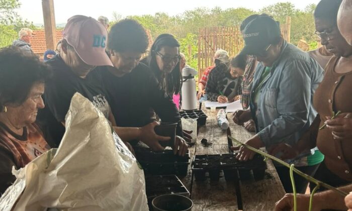 Horta Municipal de Ângulo promove capacitação e incentiva produção de alimentos