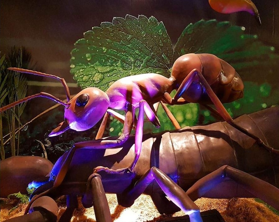 Prefeitura do Município de Maringá – Parque do Ingá terá trilhas noturnas temáticas durante a exposição ‘Primavera Encantada: Natureza Gigante’