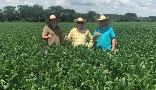 ‘Não há produtor que siga no ramo sem fé em Deus’: conheça sojicultor que resistiu às dificuldades e planta esperança no campo