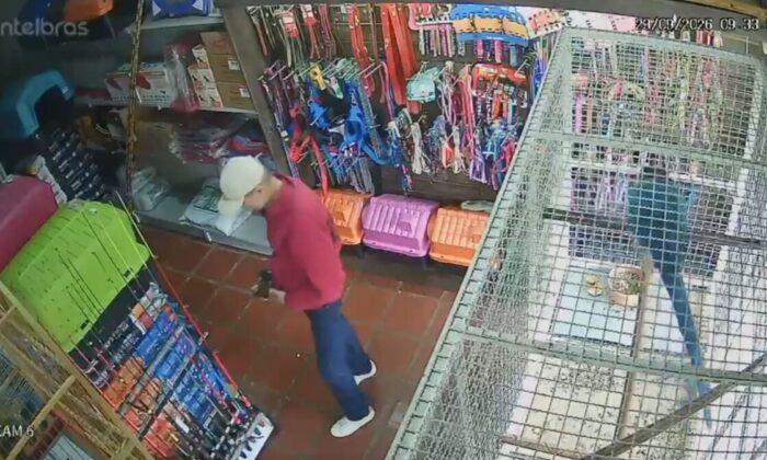 Homem é flagrado furtando peças de vara de pescar em pet shop de Maringá; VÍDEO
