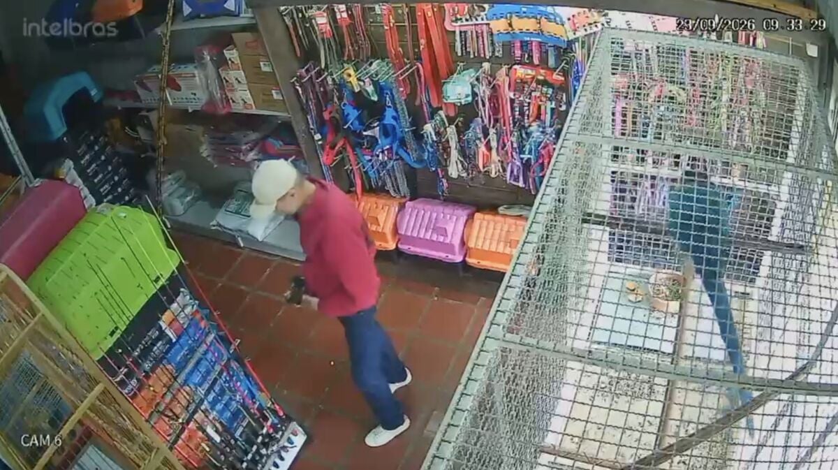Homem é flagrado furtando peças de vara de pescar em pet shop de Maringá; VÍDEO