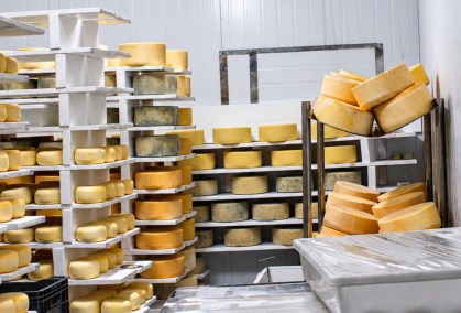 Importados ganham espaço e pressionam pequenas indústrias de leite no RS | CNN Brasil