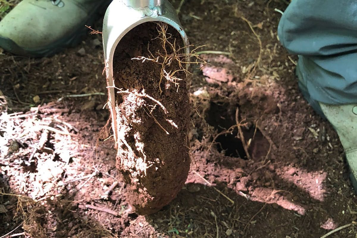 Manejo adequado amplia potencial produtivo do solo no Paraná – Maringá Post