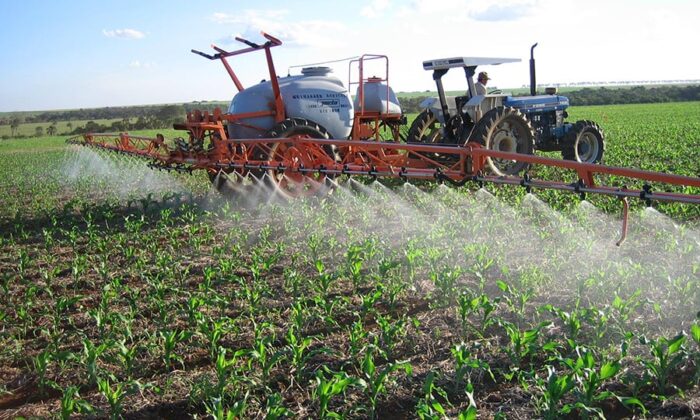 Novo método da Embrapa estima pegada hídrica de herbicidas até 116 vezes maior na cana-de-açúcar