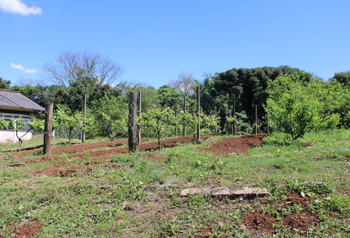 Produtores rurais têm menos de uma semana para entrega do DITR