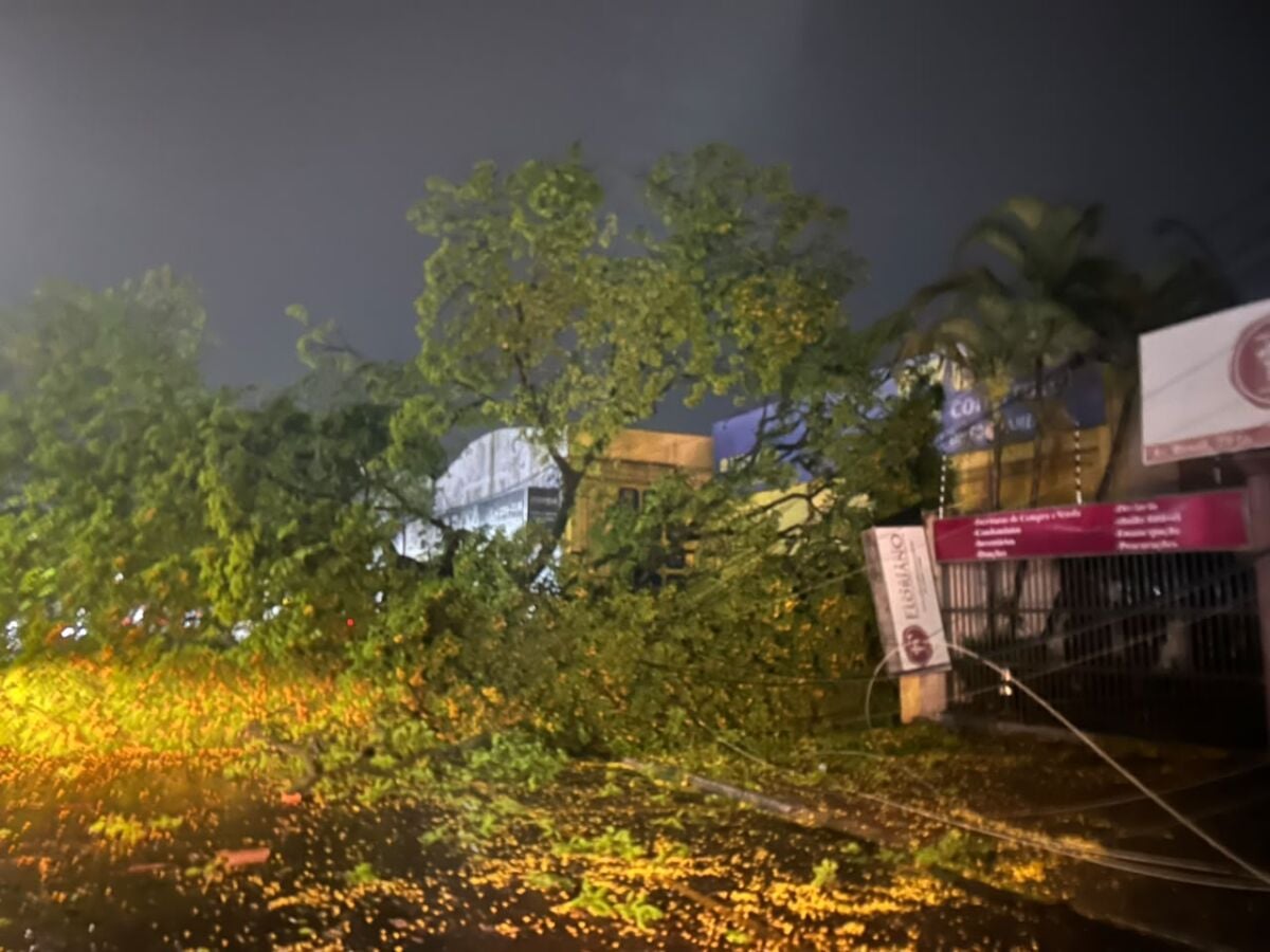 Temporal em Maringá registra ventos de 72km/h e derruba 22 árvores, afirma Defesa Civil – Maringá Post