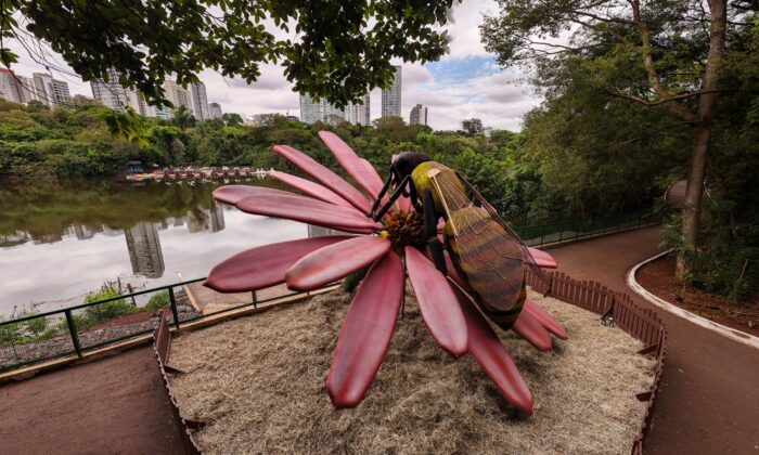 Natureza Gigante’ abre ao público nesta sexta-feira, 25