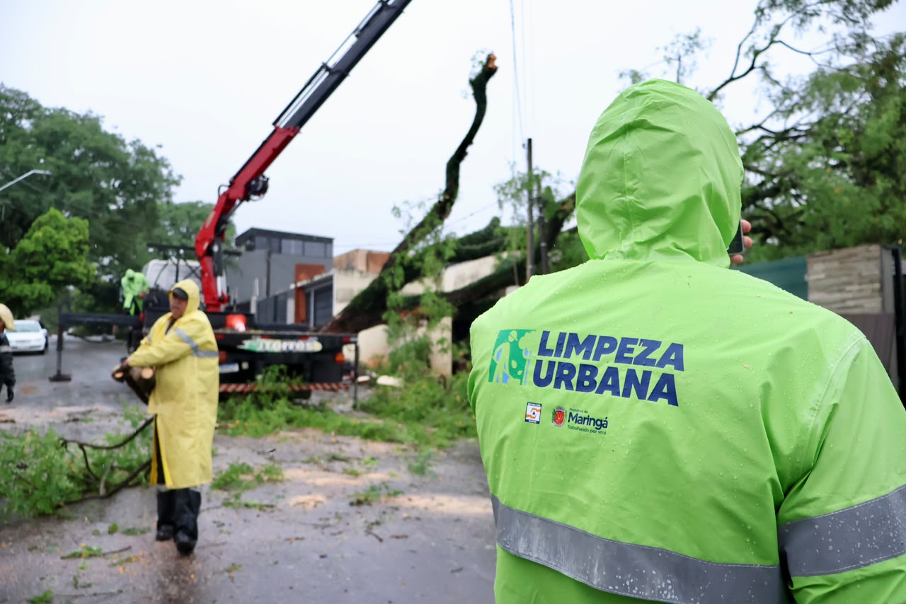 Prefeitura do Município de Maringá – Prefeitura de Maringá mobiliza cerca de 300 servidores para recuperar áreas atingidas por temporal