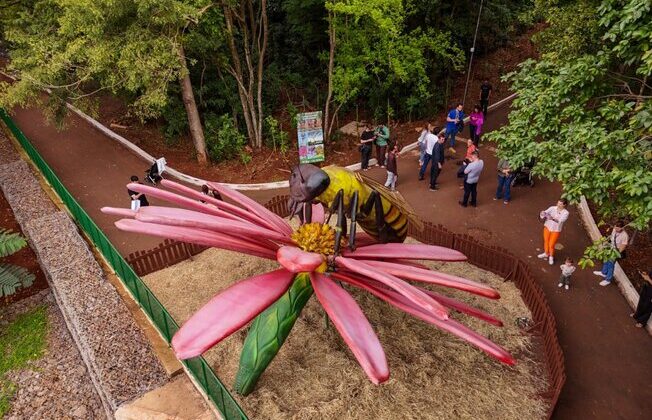 Parque do Ingá recebe exposição com insetos gigantes e…