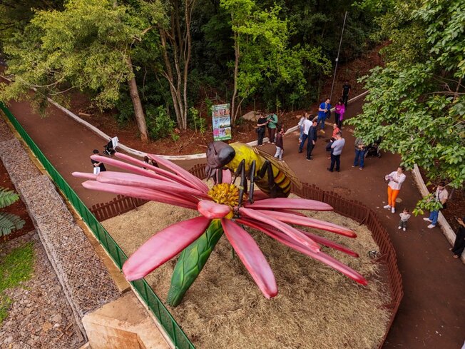 Parque do Ingá recebe exposição com insetos gigantes e…
