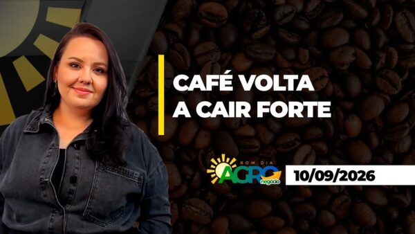 BOM DIA AGRO - CAFÉ VOLTA A CAIR FORTE