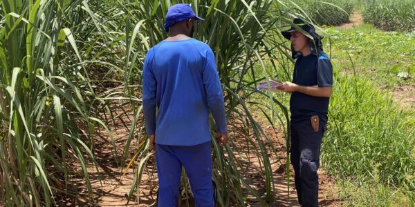Fiscais resgatam 479 vítimas de escravidão moderna no mês de agosto