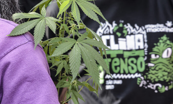 Flagrante por drogas gera mais prisão preventiva do que outros crimes
