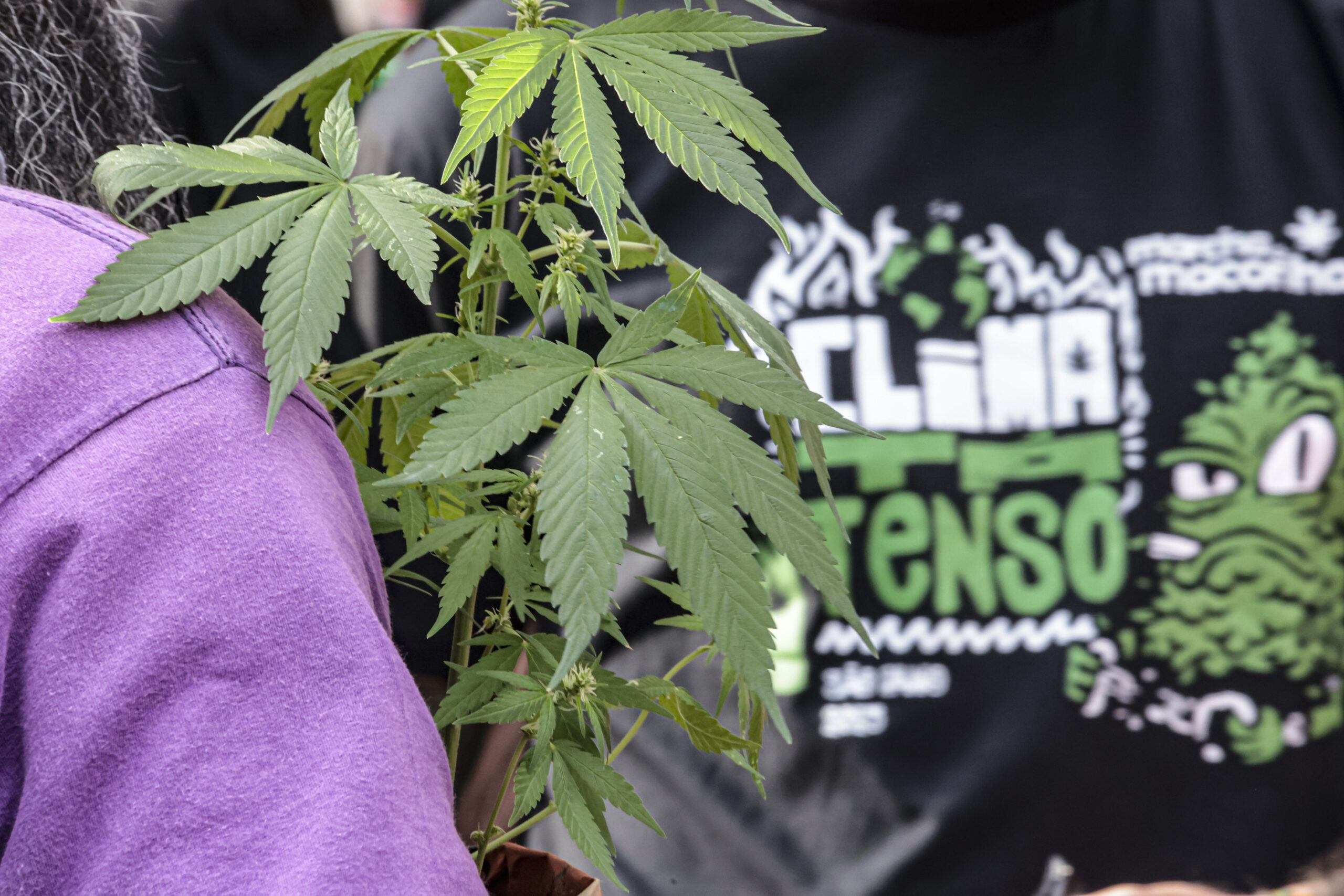 Flagrante por drogas gera mais prisão preventiva do que outros crimes