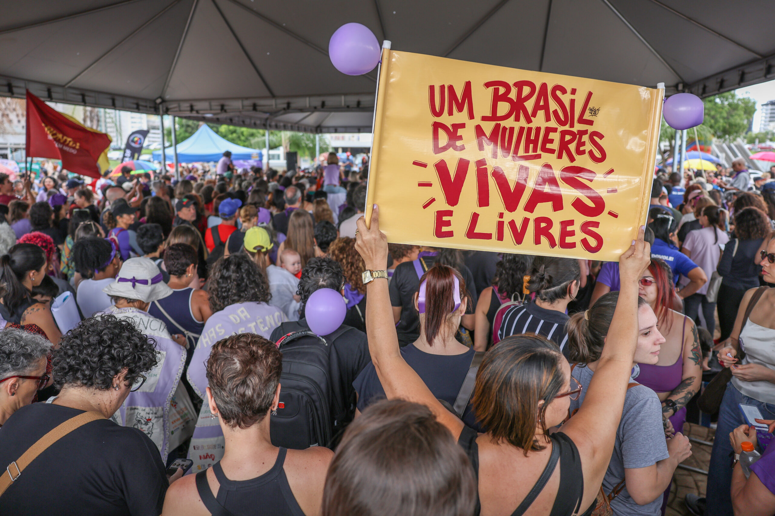 Casos de violência política de gênero crescem 11 vezes em 4 anos
