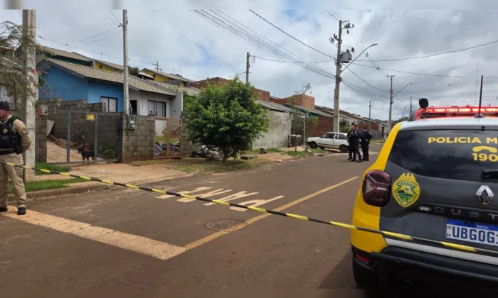 Menino de 8 anos é morto por pit bull da própria família