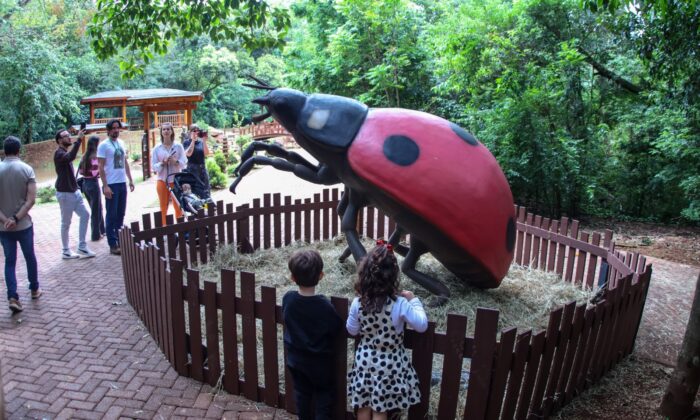 Começa no Parque do Ingá a Primavera Encantada com seus insetos e aracnídeos gigantes