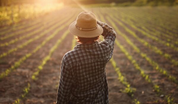Rota Bioceânica coloca a Ásia no radar do agronegócio brasileiro