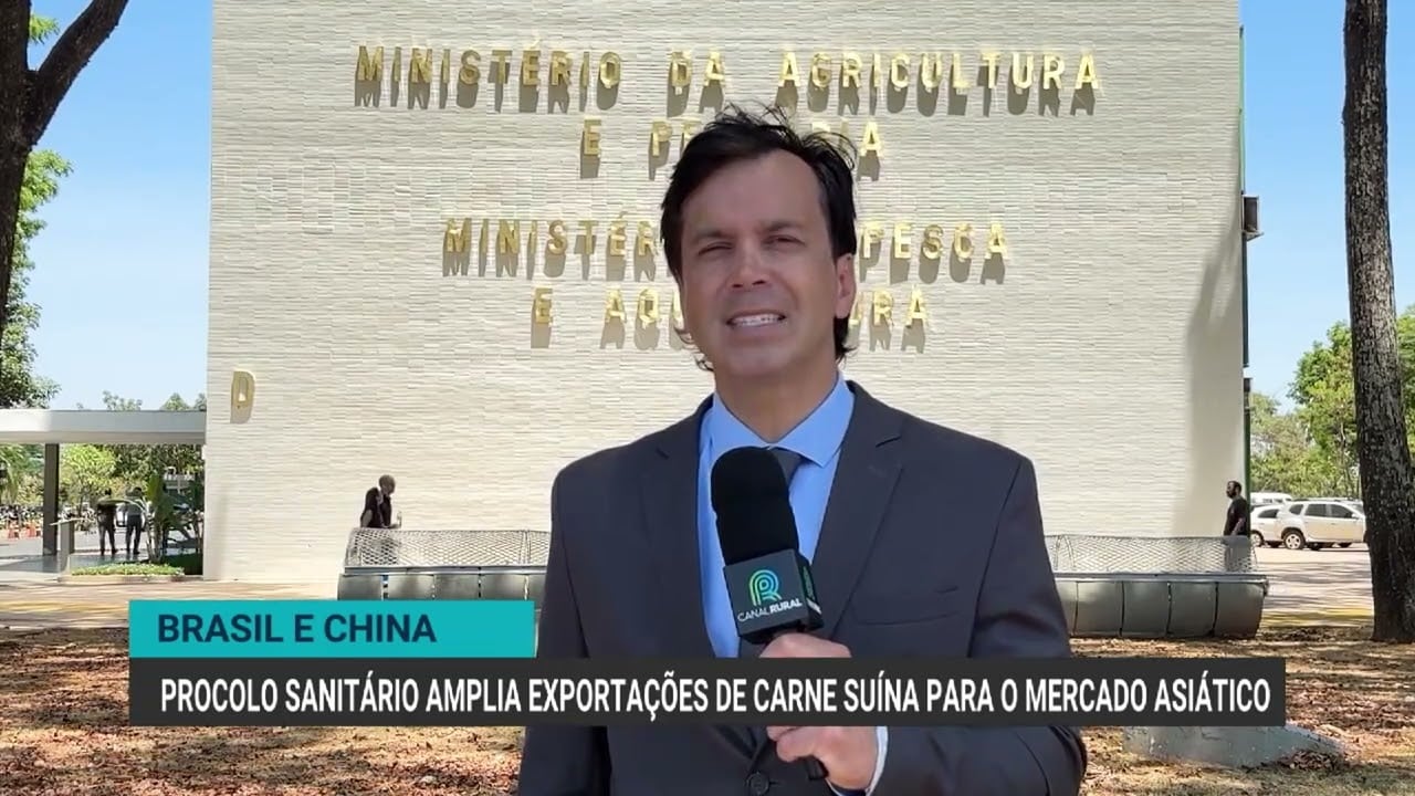 Brasil e China assinam protocolo que amplia exportações de carne suína