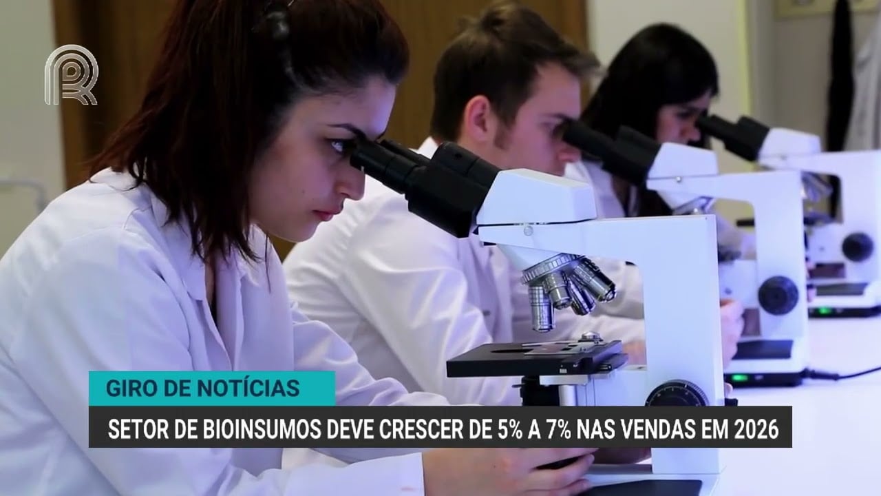 Produção de café no Brasil deve alcançar 67,6 milhões de sacas em 2026