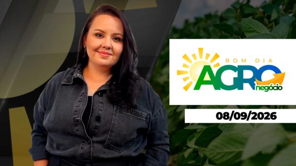 BOM DIA AGRONEGÓCIO: Informações Cruciais para o Setor Rural