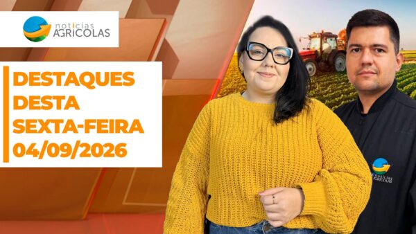 Avanços nas vendas de soja e milho contrastam com queda nas exportações